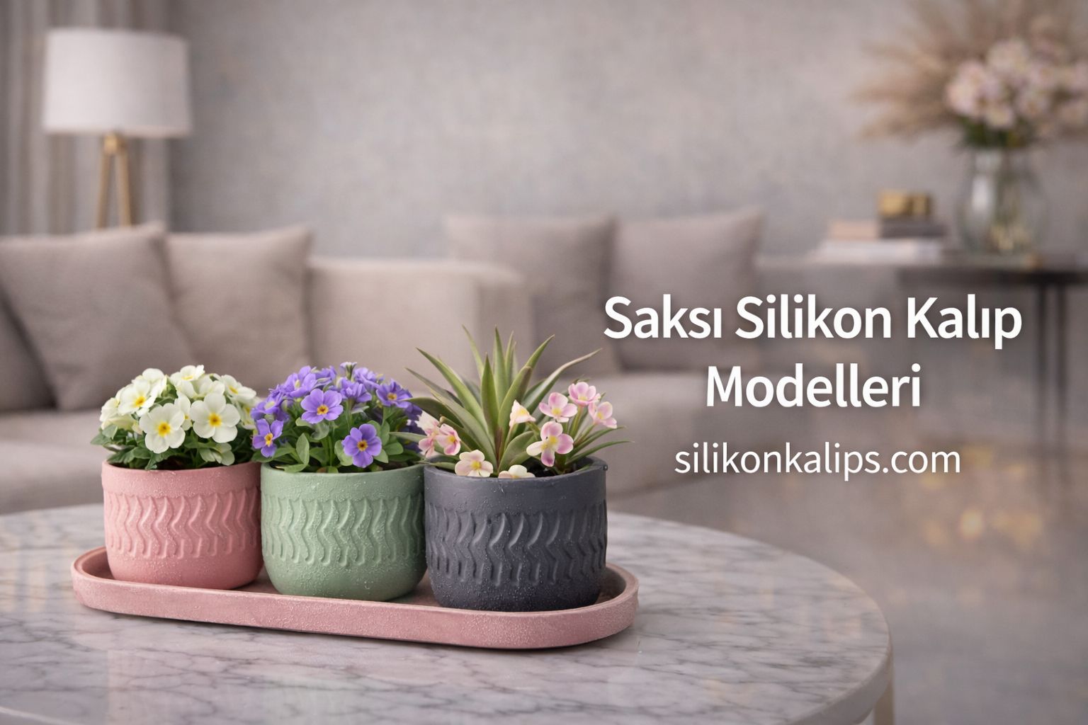 WhatsApp Image 2026-02-25 at 19.44.10 (6)