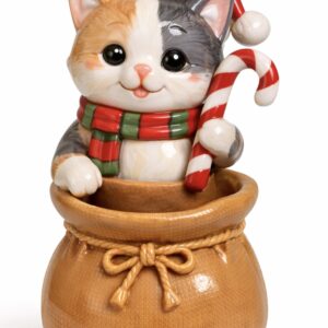 Kedi çuvallı silikon kalıp n01