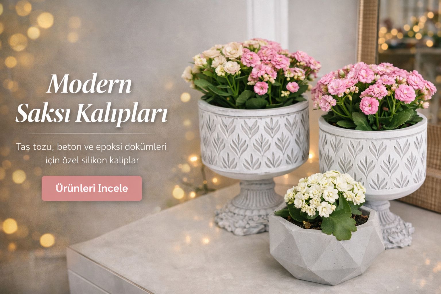 WhatsApp Image 2026-03-07 at 22.11.23