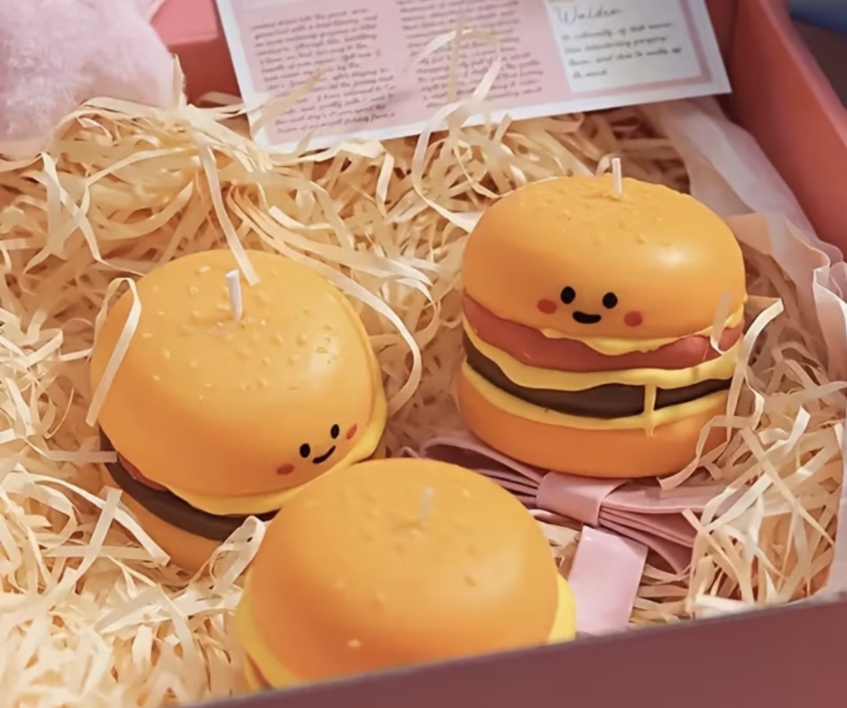 Hamburger mum silikon kalıp no1