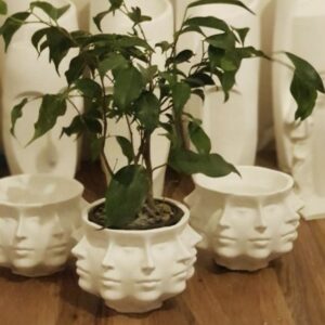 Surat saksı silikon kalıp no34