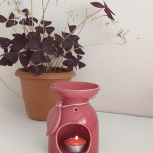 Buhurdanlık silikon kalıp 12 cm